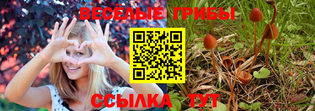 Новый Уренгой  Галлюциногенные грибы Psilocybe  цены   Вход с VPN 
